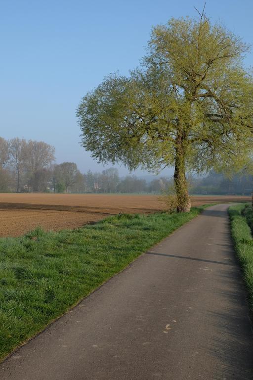B&B Silentium Tielt-Winge Екстер'єр фото