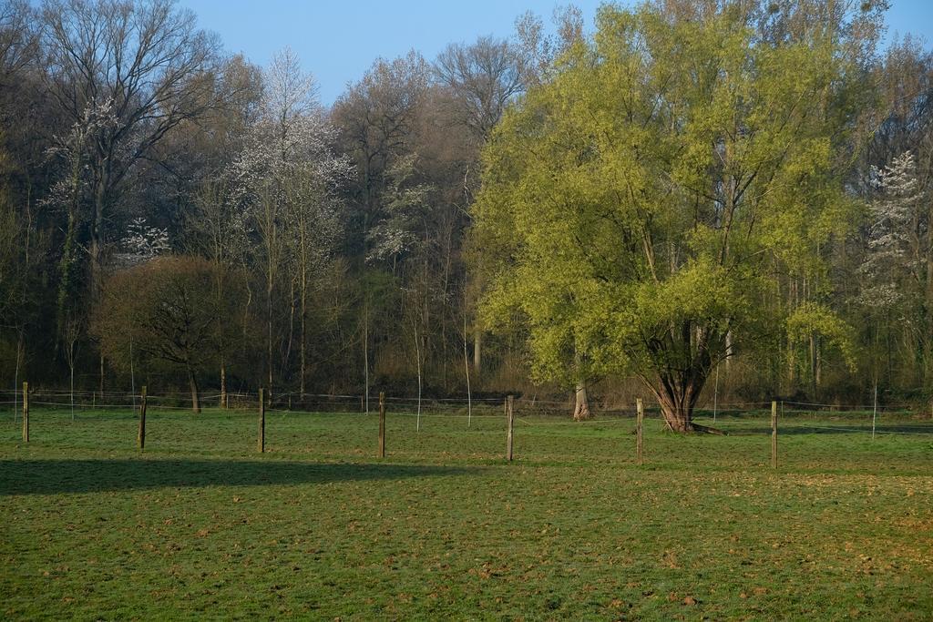 B&B Silentium Tielt-Winge Екстер'єр фото