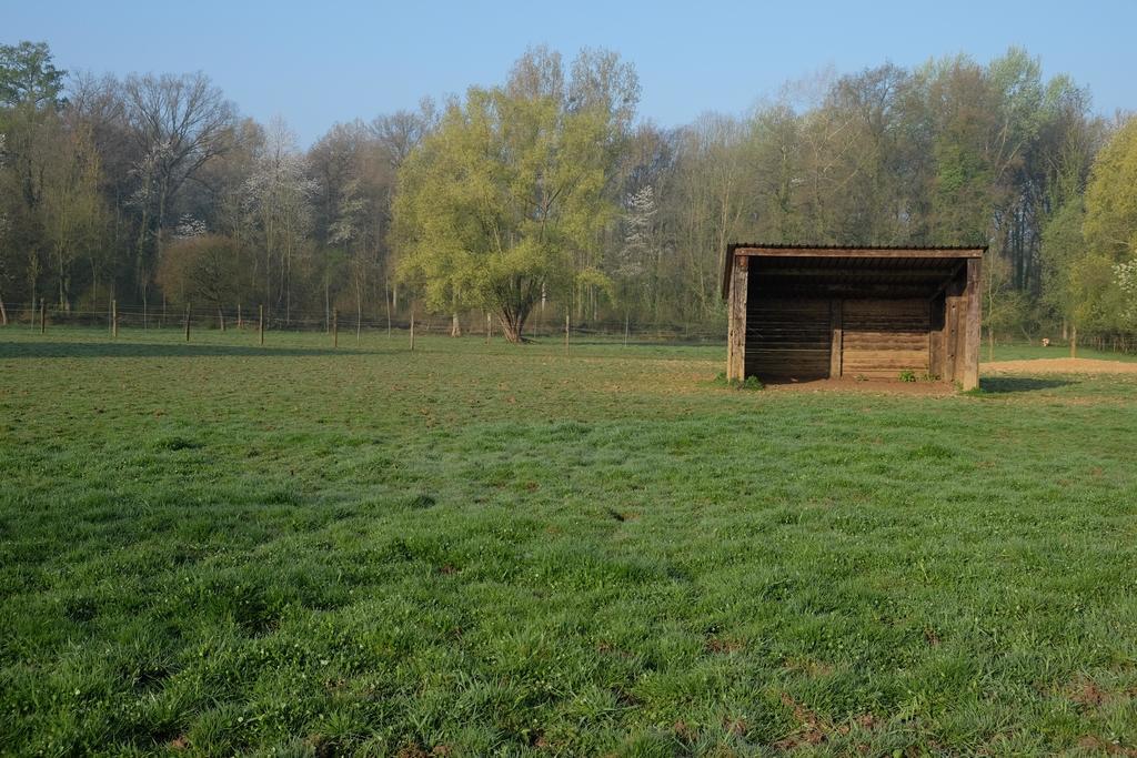 B&B Silentium Tielt-Winge Екстер'єр фото